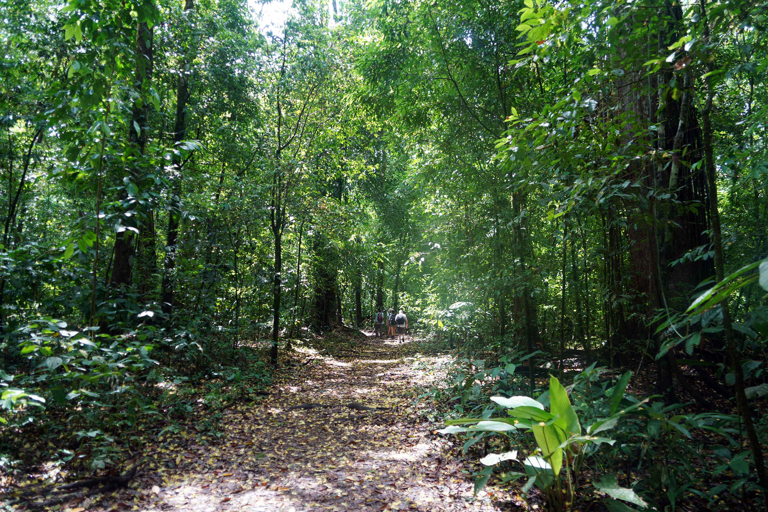 Costa Rica - Février 2025